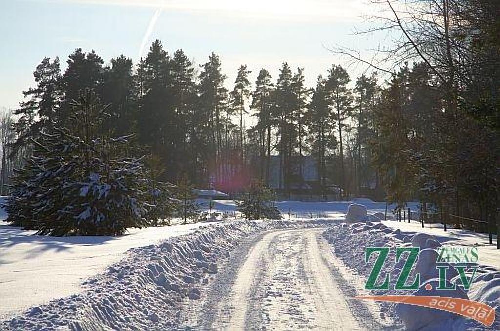 Nedēļas nogalē kļūs siltāks, svētdien gaisa temperatūra var sasniegt +8 grādus