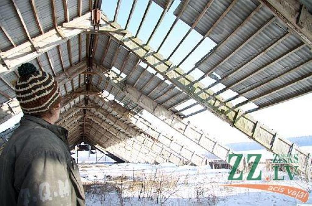 Otrdienas «Zemgales Ziņās»: Nozagt lietaskokus - pāris stundu darbs; KNAB soda Vīgantu par malkas pārdošanu skolai