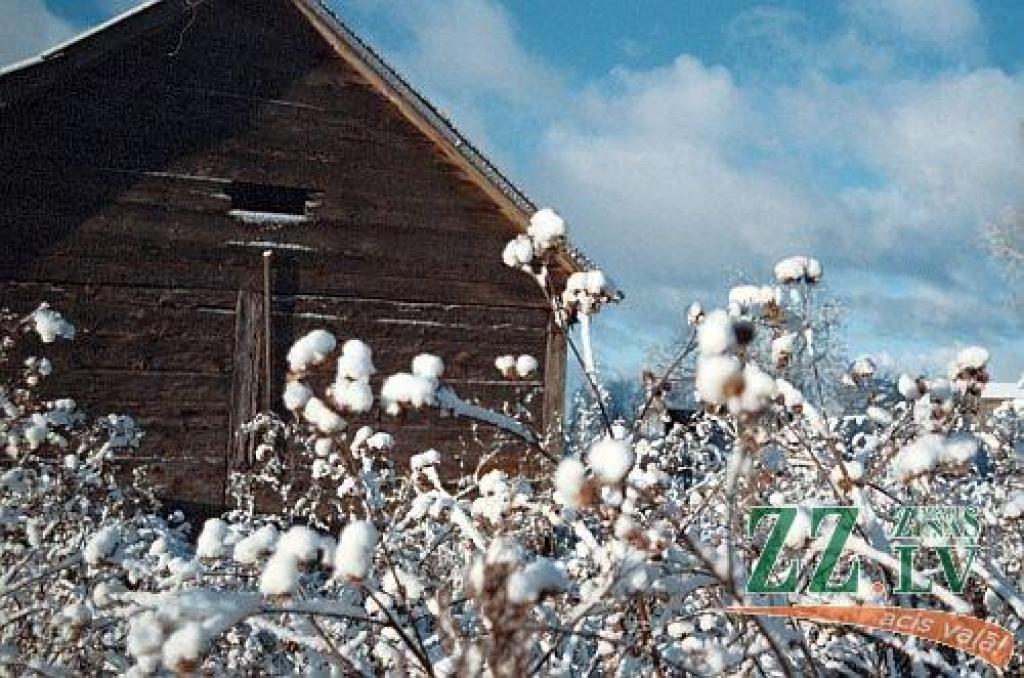 Dažviet vējš vēl pieņemsies spēkā; nākamnedēļ bieži gaidāmi nelieli atkušņi