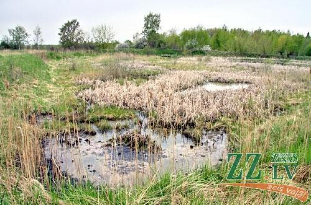 Izgāztuves «Kosmoss» sanācijas darbos paredzēta arī apkārtnes sakārtošana