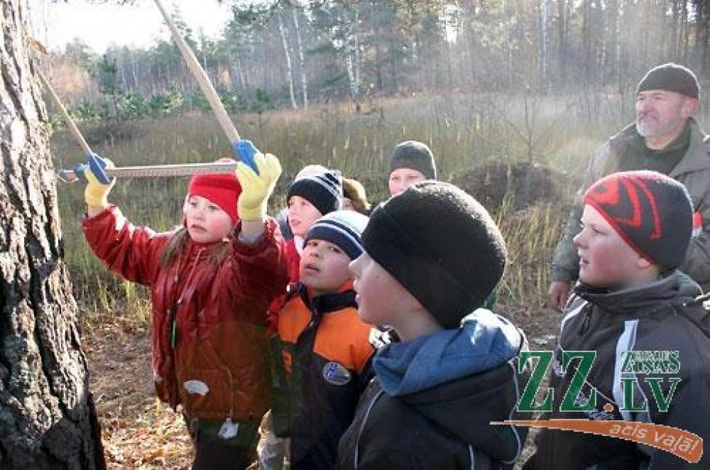 Salgales pamatskolas skolēni izzina mežu