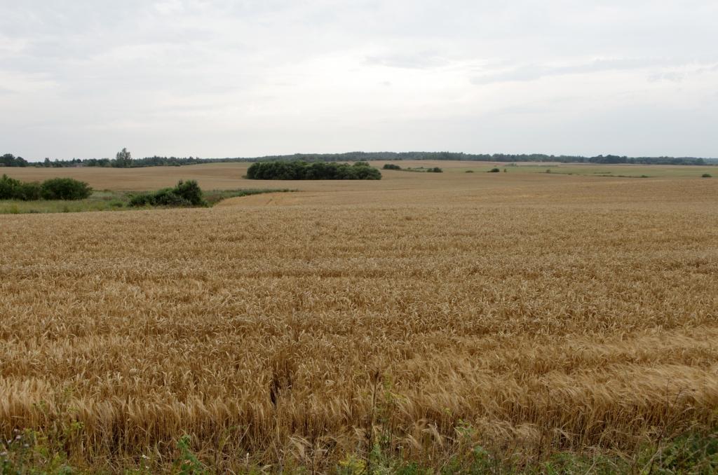 Zemniekiem draud nodokļa pieaugums