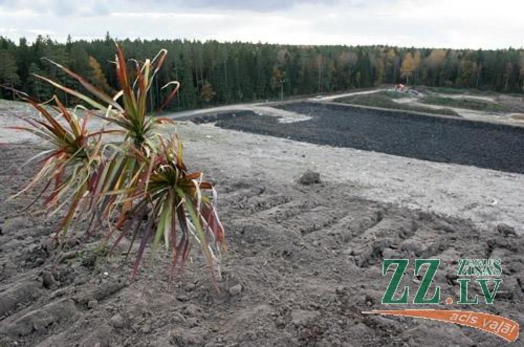 Piektdien «Zemgales Ziņās»: Atkritumu bizness Jelgavā – zelta ādere pāris rokās; Tomašūna: Rāviņš vienā dienā izlēmis man atņemt bērnudārzu; negrib maksāt par celtnieku vai NĪP kļūdām; dzīve Lielupes skavās
