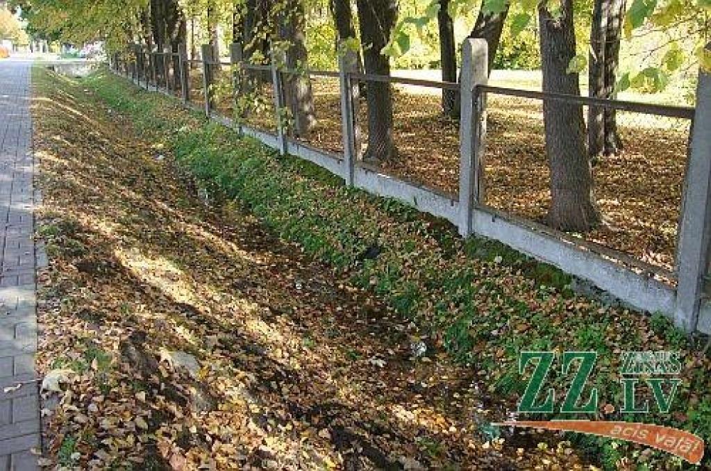 Baidoties plūdu, «Pilsētsaimniecībai» pārmet grāvju netīrīšanu (ar foto)