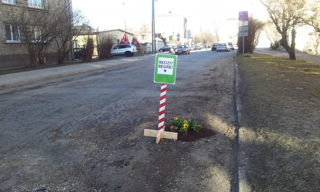 Jelgavā ielu bedrēs iestāda apmēram 40 atraitnīšu (ar foto)