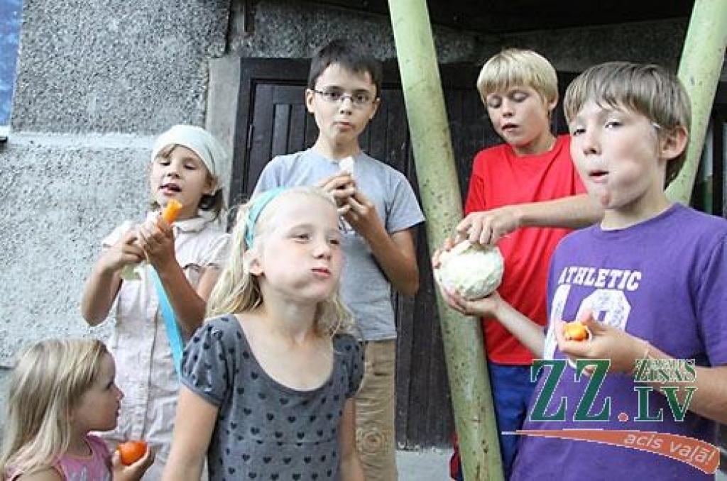 Skolas vēl apsvērs, vai pieteikties ES finansētajai programmai «Skolas auglis»