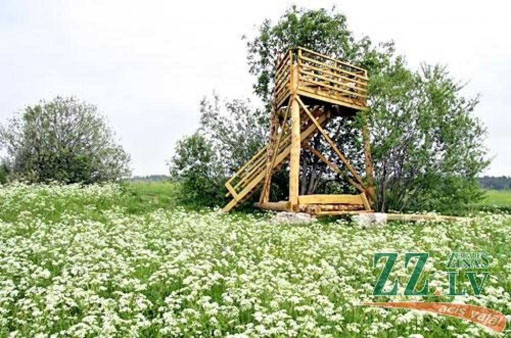 ES finansētais putnu vērošanas tornis pie Lielupes tapis bez būvatļaujas (ar foto)