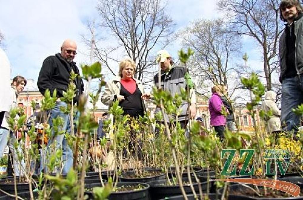 FOTO: Jelgavā notiek «Stādu dienas»