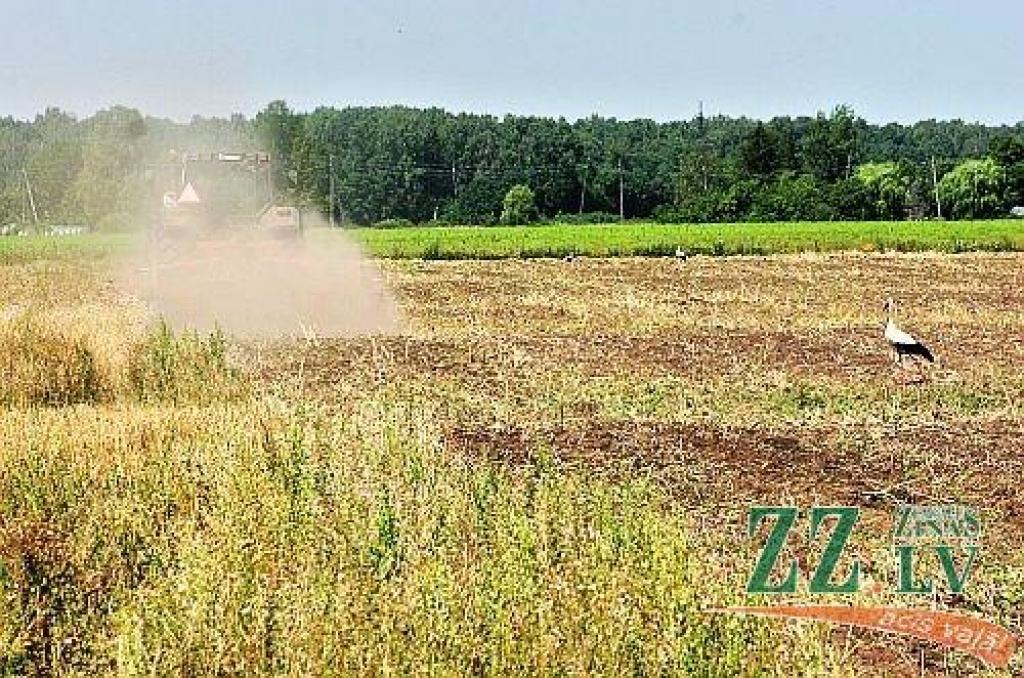 Līvbērzē atrod ap 50 kilogramus smagu nesprāgušu aviācijas bumbu (papildināta)