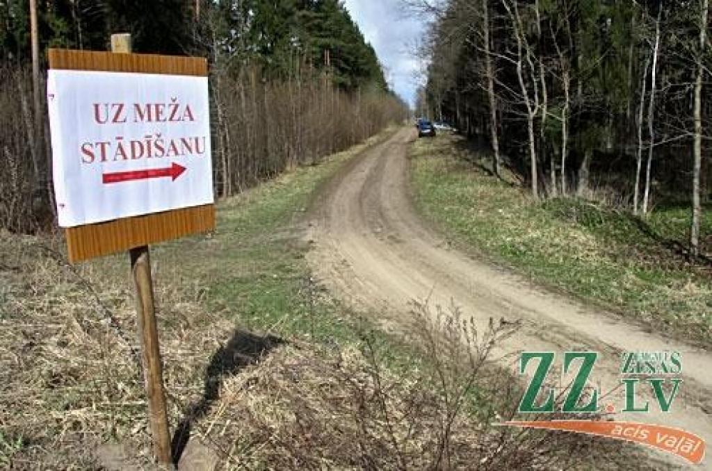«Pilsētsaimniecības» kolektīvs iestāda 6000 bērzu (ar foto)