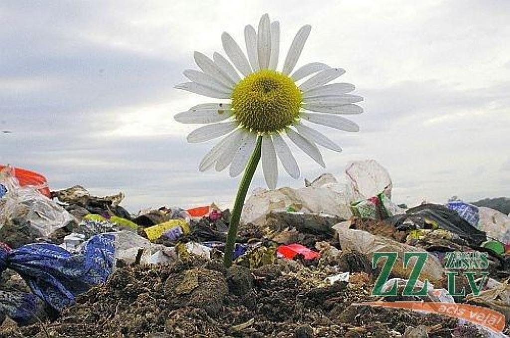 Platonē augs maksa par atkritumiem