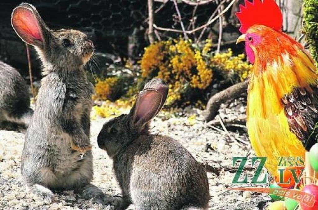 Garīgo un laicīgo tradīciju vienotībā