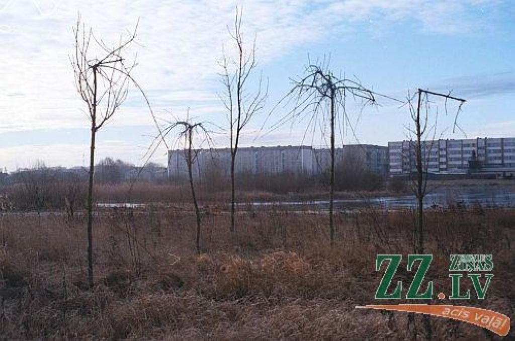 Tiesa pret «Zemgales pērli» uzvarēta; cerība tikt pie kompensācijas - maza