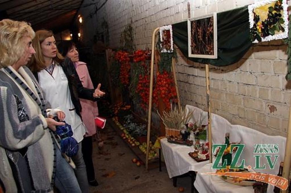 Ienākušies darba terapijas augļi