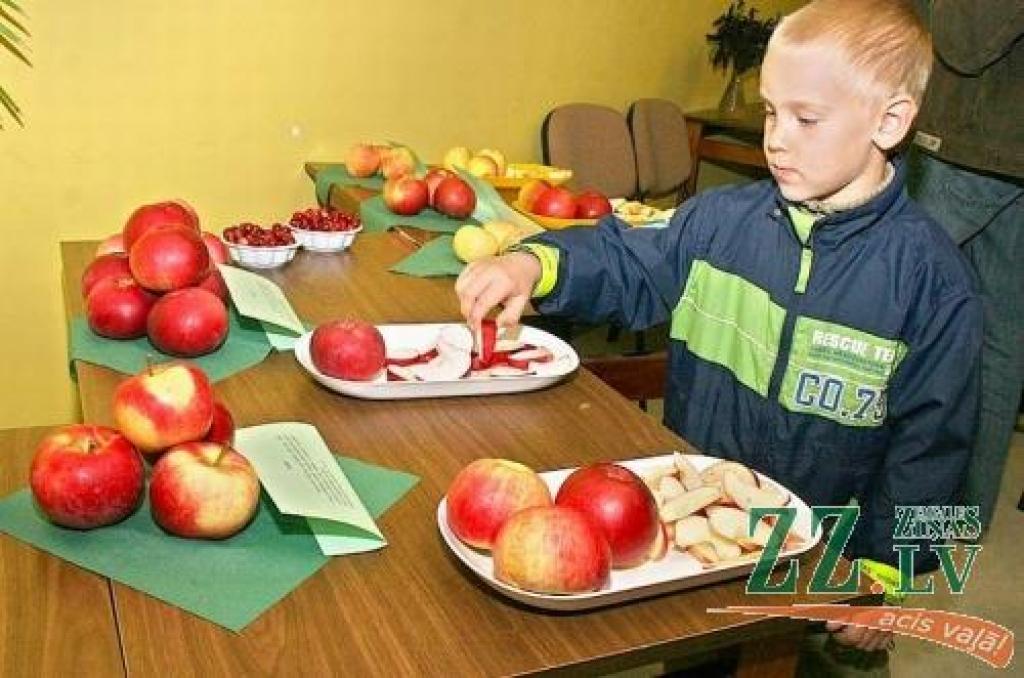 Fotogalerija: «Zinātnieku nakts» Jelgavā