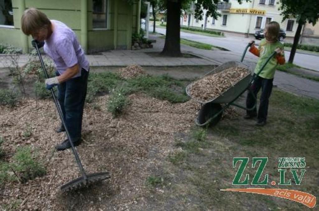 Ar šķeldu mulčē parku apstādījumus