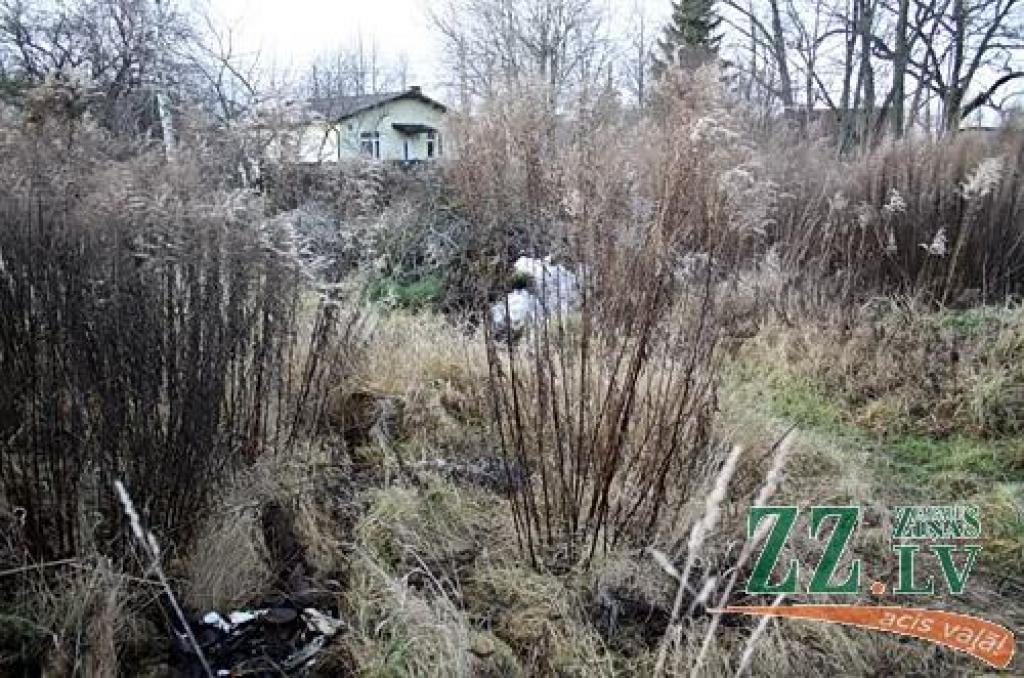 Bažas, ka brikšņi Sieramuižā apdraud dārza mājiņas