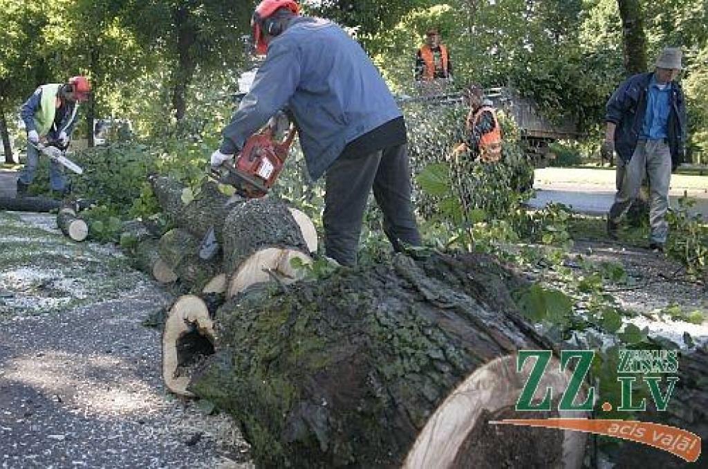  Glābējiem saistībā ar vēju Jelgavā izsaukumu nav bijis