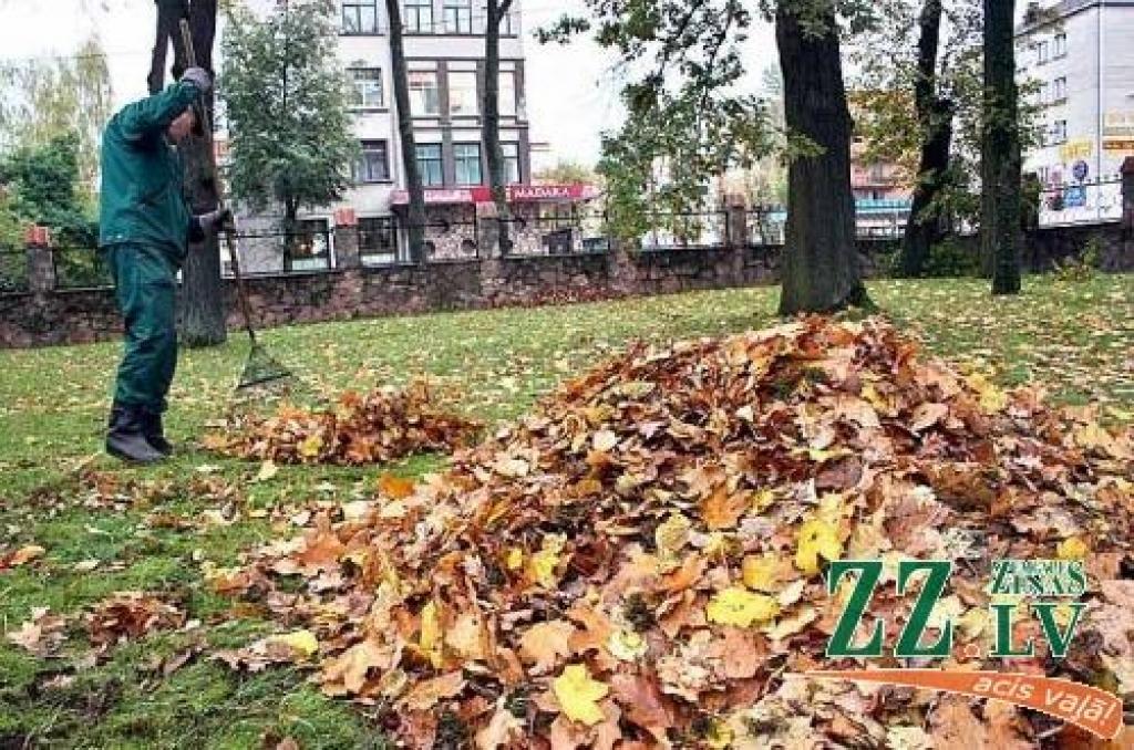 Aizvadīts līdz šim aukstākais rudens rīts; zemākā temperatūra - Jelgavā