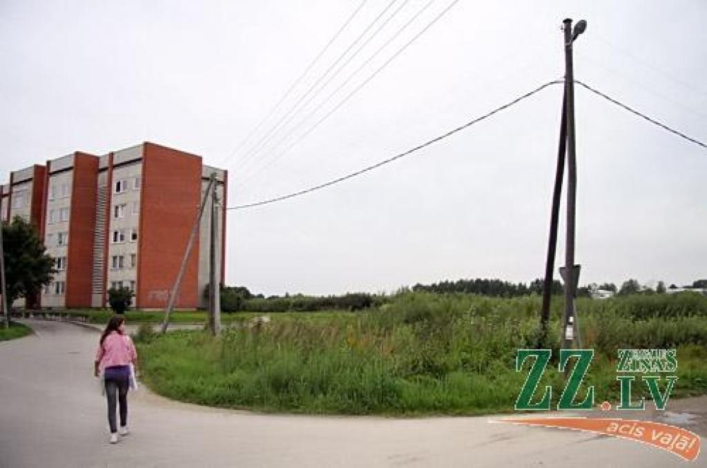 Pašvaldība «džungļus» Rūpniecības ielā pļauj vien reizi sezonā