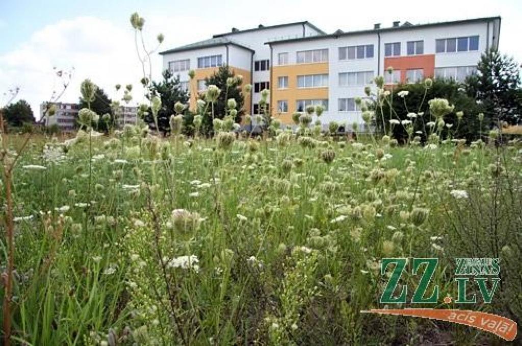 Nekoptu īpašumu skaitu Jelgavā palielina mājas, kuru saimnieki devušies peļņā uz ārzemēm