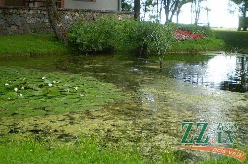Jelgavas puses ūdeņos zivis vēl neslāpst, draudīgākā situācija mazajās upītēs
