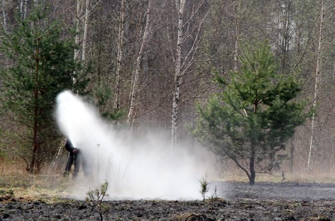 FOTO: Ugunsdzēsēji neļauj ugunij izplatīties mežā Garozas pusē