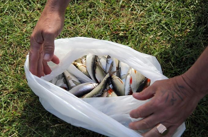 Makšķerēšana. Spartakiādes uzvarētājam – pusotrs kilograms zivju