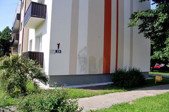 Pārkrāsos Ozolnieku «grafiti mākslinieka» apķēpātās mājas