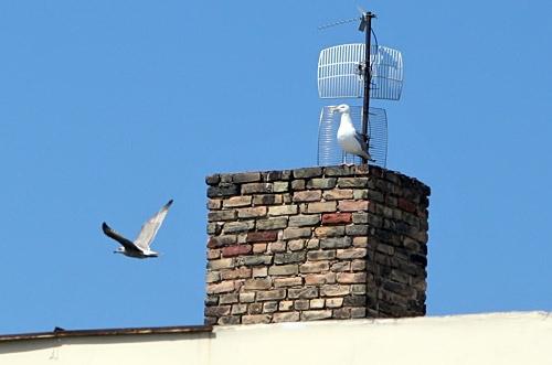 Pēc strīda ar draudzeni draud izdarīt pašnāvību, nolecot no jumta