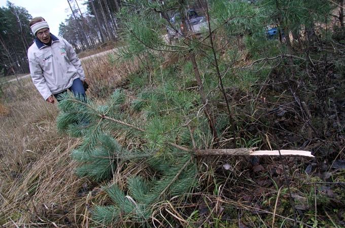 Garo kalnu labiekārtotāja: Tā rīkojas tikai vandaļi