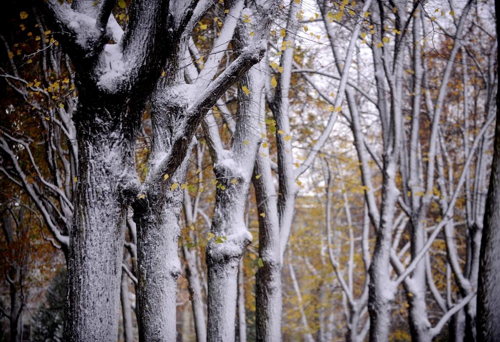 Kas Tev jāzina 27. novembrī