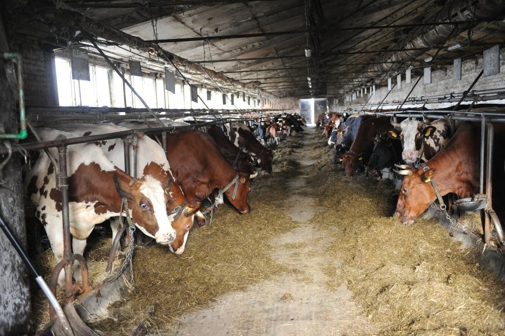 Ilgstošas tiesvedības un valsts neizdarības dēļ lauksaimnieki nevar izmantot zemi