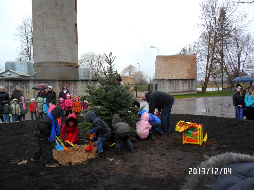 Kalnciemā pašu stādītu egli rotā ar atstarotājiem