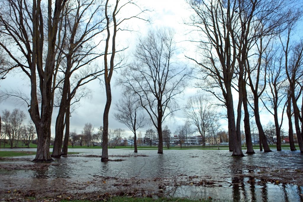 Latvijā aizvien turpinās meteoroloģiskais rudens