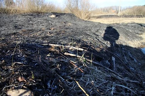 Par Jelgavas vietām, kur degusi kūla, VUGD ziņos pašvaldībai 