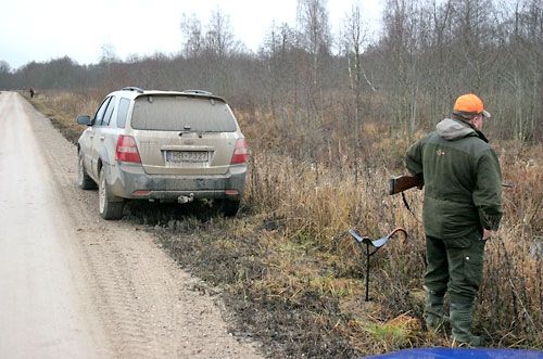 Jelgavas novads aicina pieteikties medību tiesību nomai divos Sesavas īpašumos