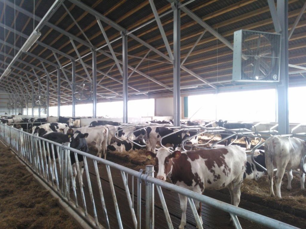 Sēlpils pagastā govju fermas izveidē iegulda vairākus miljonus eiro