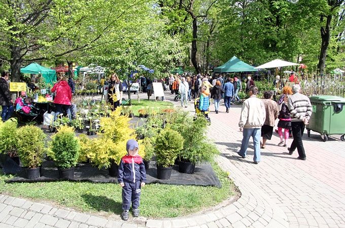 Stādu dienās pulcē vairāk par 200 tirgotāju un tūkstošiem apmeklētāju