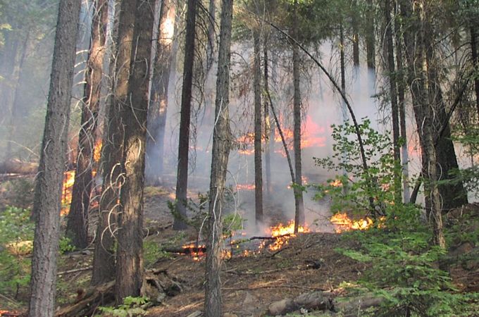 Aizvadītajā diennaktī 37 ugunsgrēki; deguši meži 10,5 hektāru platībā