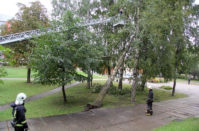 Ugunsdzēsēji saņēmuši jau vairākus izsaukumus par negaisa laikā vēja nogāztiem kokiem