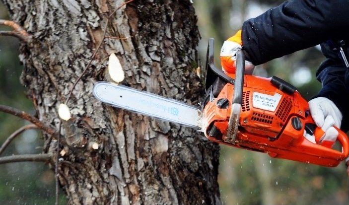 Mežu īpašnieki – palieliniet meža ekonomisko vērtību, izmantojot ES atbalstu!