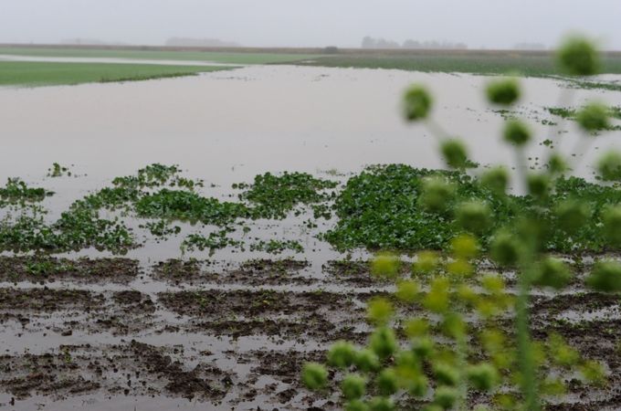 Jelgavas novadā meliorēs deviņus objektus