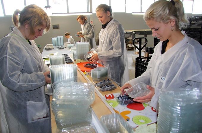 Jelgava atzīta par darba devējiem draudzīgāko pašvaldību, «Laflora» – par labāko darba devēju Zemgalē