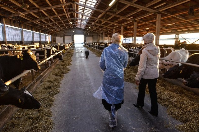 Ināra Mūrniece Jelgavas novadā vairāk interesējās par tiem, kam trūkst savu māju (FOTO)