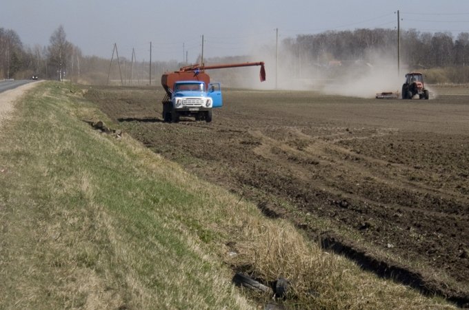 Zemgalē sēja rit neparasti agri (FOTO)