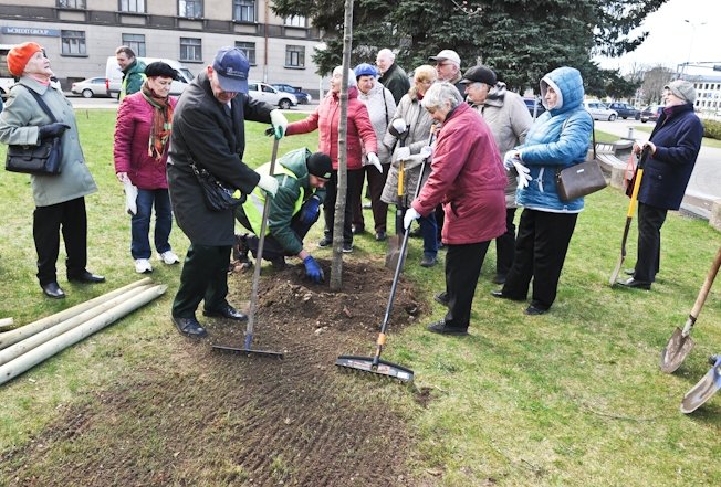 Biedrības stāda kokus pilsētas nākotnei (FOTO)