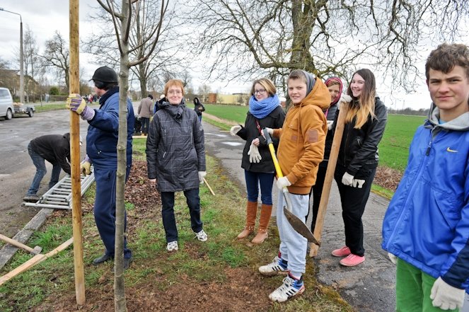 Skolēni stāda liepas un izvieto sikspārņu būrīšus (FOTO)