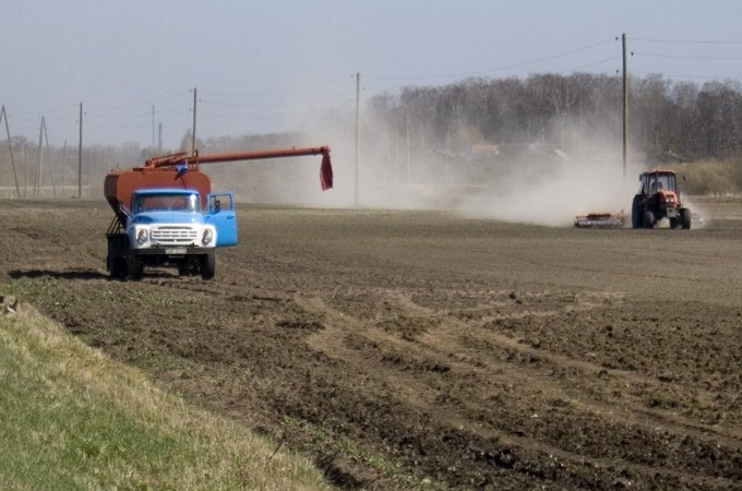 Vēsais pavasaris graudaugiem labvēlīgs