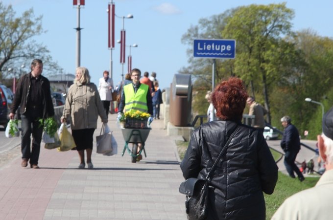 Jelgavā atplaukst stādi (FOTO)